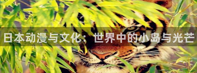 omofun是什么：日本动漫与文化：世界中的小岛与光芒