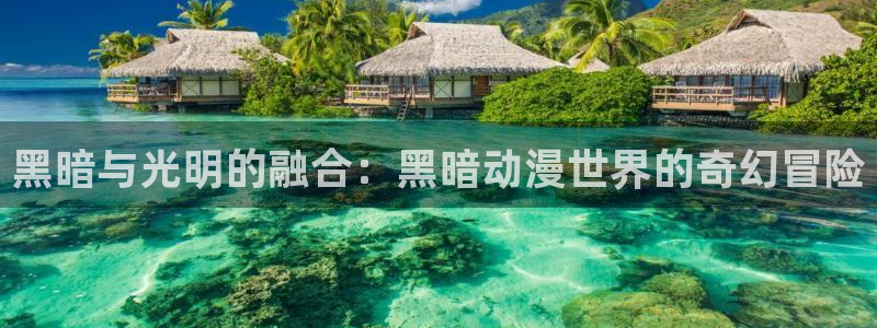omofun网页版入口：黑暗与光明的融合：黑暗动漫世界的奇幻冒险