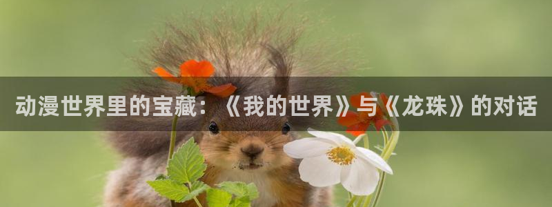 下载omofun：动漫世界里的宝藏：《我的世界》与《龙珠》的对话