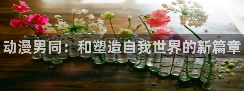 omofun链接：动漫男同：和塑造自我世界的新篇章