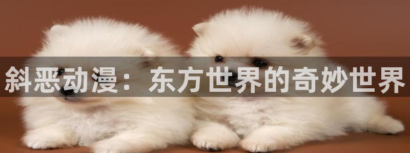omofun网页版入口处：斜恶动漫：东方世界的奇妙世界