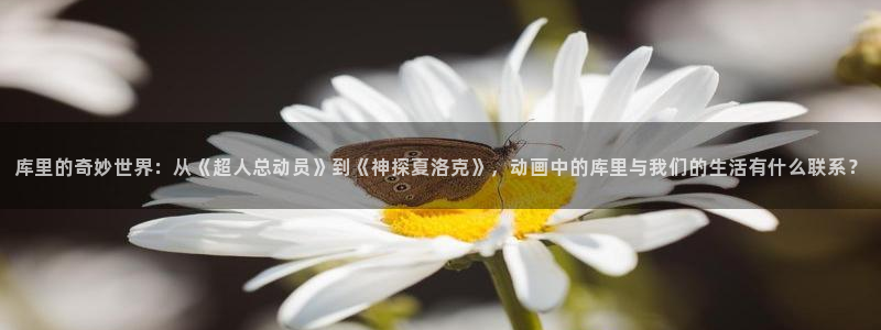 omofun一个：库里的奇妙世界：从《超人总动员》到《神探夏洛克》，动画中的库里与我们的生活有什么联系？